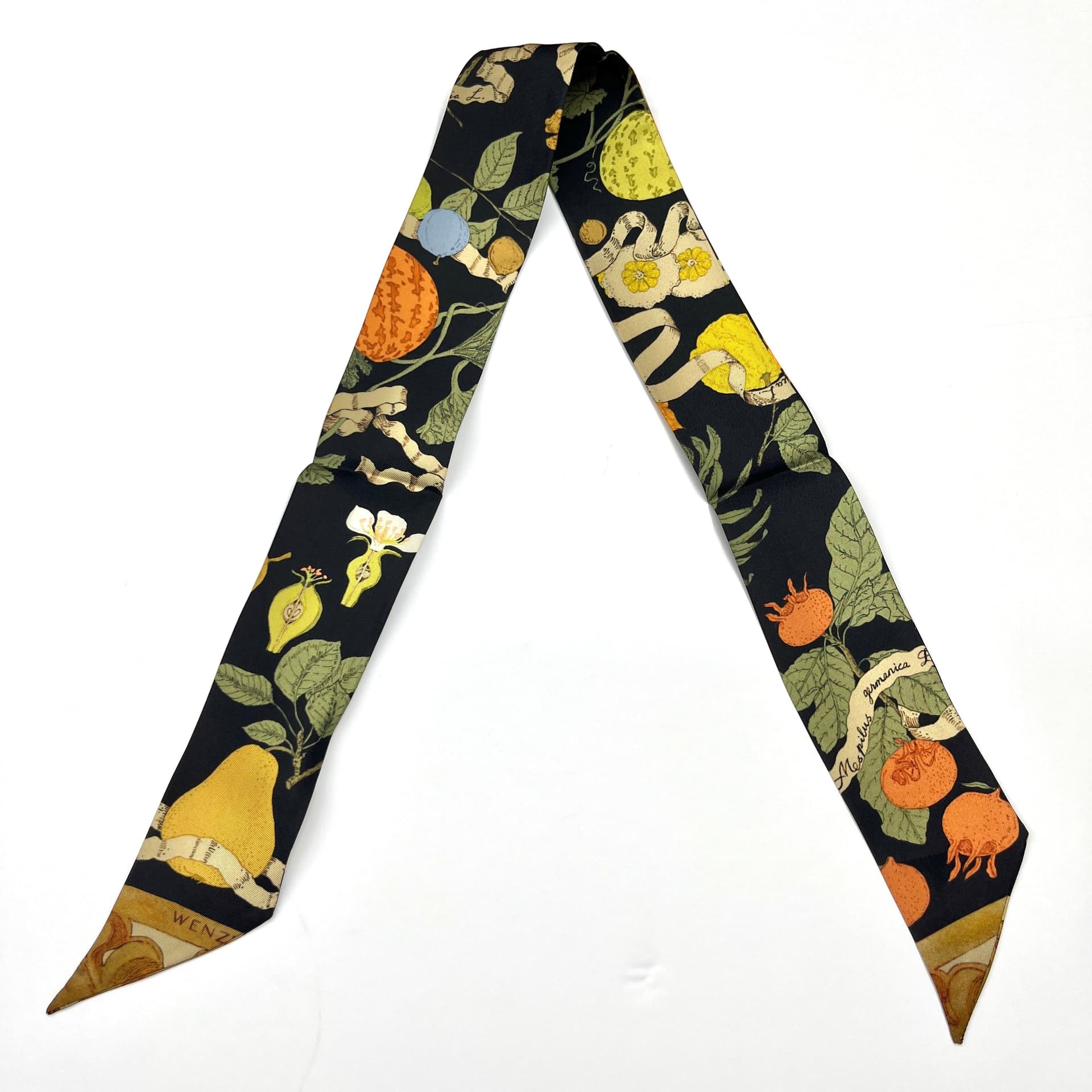 Botanical Harvest - Double-Layer Silk Skinny Scarf & Hair Ribbon | Bag Accessory - luxury skinny scarf & ribbon | hand-painted mulberry silk scarf